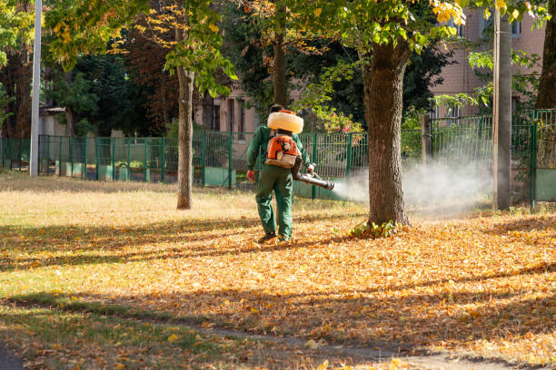 Best Insect Control  in Bluff City, TN